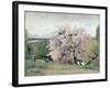 Fruit Tree in Blossom, Bois-Le-Roi-Carl Fredrik Hill-Framed Giclee Print