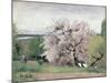 Fruit Tree in Blossom, Bois-Le-Roi-Carl Fredrik Hill-Mounted Giclee Print
