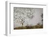 Fruit tree-Nel Talen-Framed Photographic Print