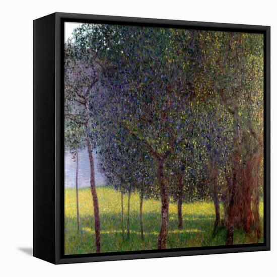 Fruit Trees, 1901-Gustav Klimt-Framed Stretched Canvas