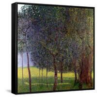 Fruit Trees, 1901-Gustav Klimt-Framed Stretched Canvas