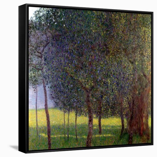 Fruit Trees, 1901-Gustav Klimt-Framed Stretched Canvas