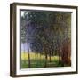 Fruit Trees, 1901-Gustav Klimt-Framed Premium Giclee Print