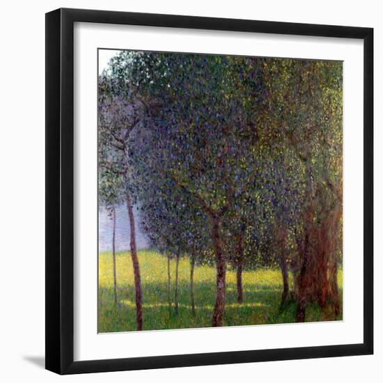 Fruit Trees, 1901-Gustav Klimt-Framed Premium Giclee Print