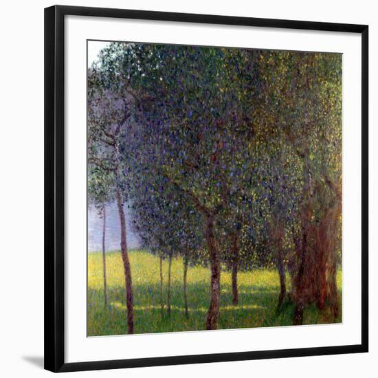 Fruit Trees, 1901-Gustav Klimt-Framed Premium Giclee Print