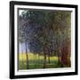 Fruit Trees, 1901-Gustav Klimt-Framed Giclee Print