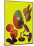 Fruit & veggies 2020 cutout-Sarah Thompson-Engels-Mounted Giclee Print