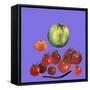 Fruit & veggies  2020 cutout-Sarah Thompson-Engels-Framed Stretched Canvas