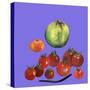 Fruit & veggies  2020 cutout-Sarah Thompson-Engels-Stretched Canvas