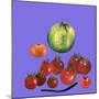 Fruit & veggies  2020 cutout-Sarah Thompson-Engels-Mounted Giclee Print