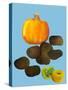 Fruit & veggies vegetables 2020 cutout-Sarah Thompson-Engels-Stretched Canvas