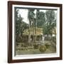 Fruit Vendor, Island of Java (Indonesia), around 1900-Leon, Levy et Fils-Framed Photographic Print