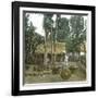 Fruit Vendor, Island of Java (Indonesia), around 1900-Leon, Levy et Fils-Framed Photographic Print