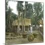 Fruit Vendor, Island of Java (Indonesia), around 1900-Leon, Levy et Fils-Mounted Photographic Print