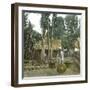 Fruit Vendor, Island of Java (Indonesia), around 1900-Leon, Levy et Fils-Framed Photographic Print