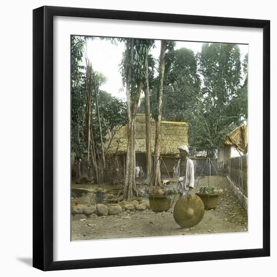 Fruit Vendor, Island of Java (Indonesia), around 1900-Leon, Levy et Fils-Framed Photographic Print