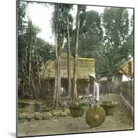 Fruit Vendor, Island of Java (Indonesia), around 1900-Leon, Levy et Fils-Mounted Photographic Print