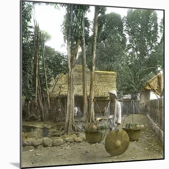 Fruit Vendor, Island of Java (Indonesia), around 1900-Leon, Levy et Fils-Mounted Photographic Print