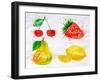 Fruit Watercolor Cherry, Lemon, Strawberry, Pear-anna42f-Framed Art Print
