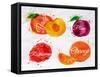 Fruit Watercolor Peach, Raspberry, Plum, Orange-anna42f-Framed Stretched Canvas