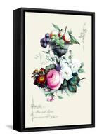 Fruit with Roses-null-Framed Stretched Canvas