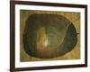 Fruit-Paul Klee-Framed Giclee Print