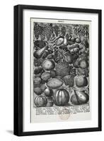Fruit-Isabella Beeton-Framed Giclee Print