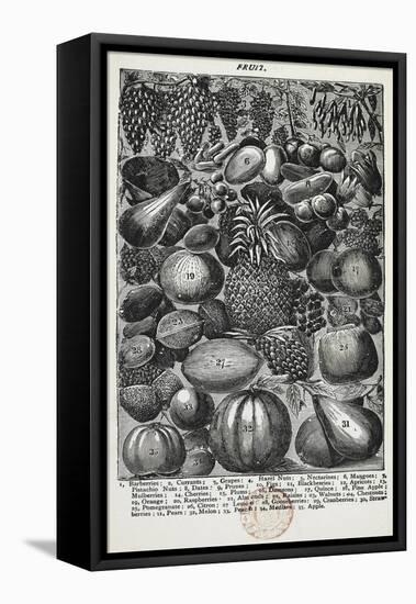 Fruit-Isabella Beeton-Framed Stretched Canvas