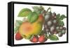 Fruit-null-Framed Stretched Canvas