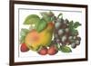 Fruit-Found Image Press-Framed Giclee Print