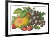 Fruit-Found Image Press-Framed Giclee Print