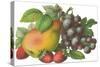 Fruit-Found Image Press-Stretched Canvas