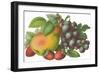 Fruit-Found Image Press-Framed Giclee Print