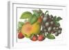 Fruit-Found Image Press-Framed Giclee Print
