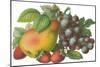 Fruit-Found Image Press-Mounted Giclee Print