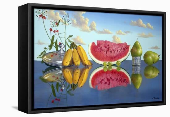 Fruit-Eduardo Camoes-Framed Stretched Canvas