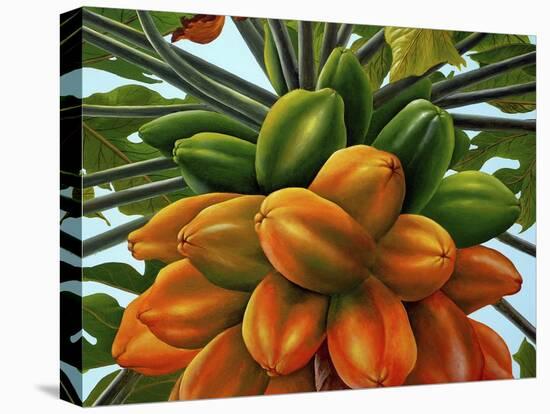 Fruit-Eduardo Camoes-Stretched Canvas
