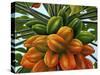 Fruit-Eduardo Camoes-Stretched Canvas