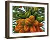 Fruit-Eduardo Camoes-Framed Giclee Print