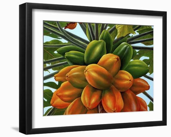 Fruit-Eduardo Camoes-Framed Giclee Print