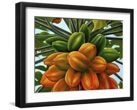 Fruit-Eduardo Camoes-Framed Giclee Print