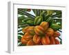 Fruit-Eduardo Camoes-Framed Giclee Print
