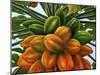 Fruit-Eduardo Camoes-Mounted Giclee Print