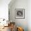 Fruit-George Lance-Framed Premium Giclee Print displayed on a wall