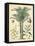 Fruitful Palm I-Vision Studio-Framed Stretched Canvas