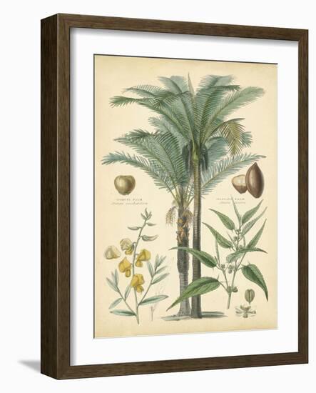 Fruitful Palm I-Vision Studio-Framed Art Print