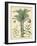 Fruitful Palm I-Vision Studio-Framed Art Print