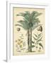 Fruitful Palm I-Vision Studio-Framed Art Print