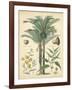 Fruitful Palm I-Vision Studio-Framed Art Print