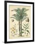 Fruitful Palm I-Vision Studio-Framed Art Print